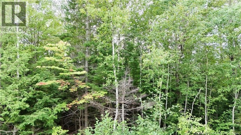 Bathory, Lower Greenwich, New Brunswick, E5K4H2