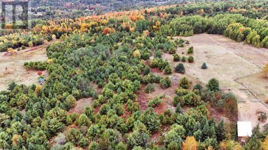 0 MCLEAN ROAD Hastings Highlands (Monteagle Ward) Ontario photo 4