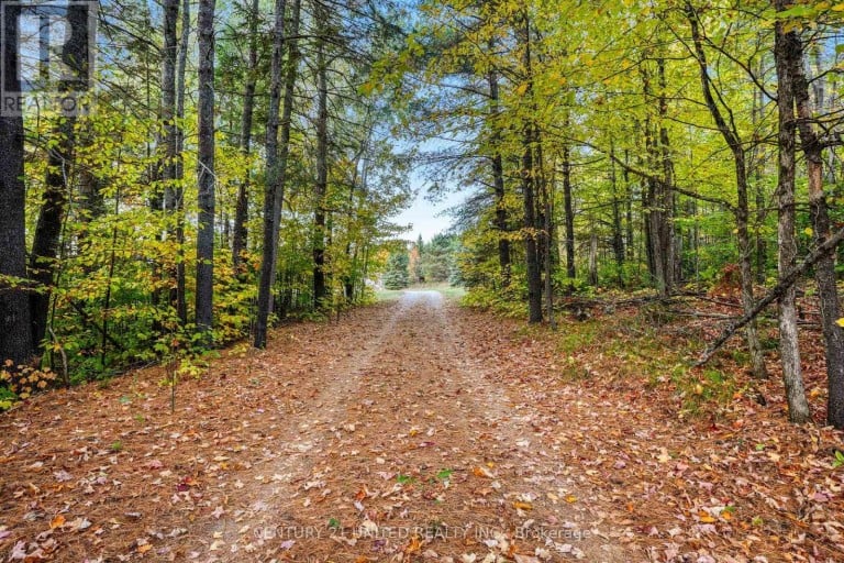 31 MCLEAN ROAD, Hastings Highlands (Monteagle Ward), Ontario, K0L2R0