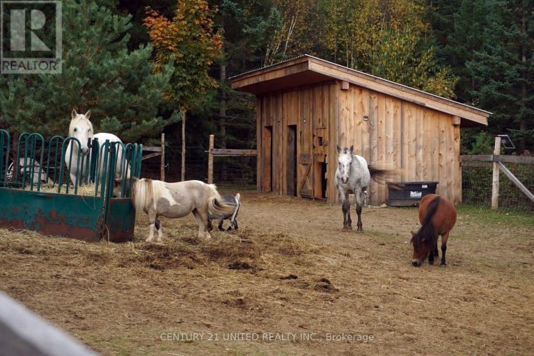 31 MCLEAN ROAD, Hastings Highlands (Monteagle Ward), Ontario, K0L2R0