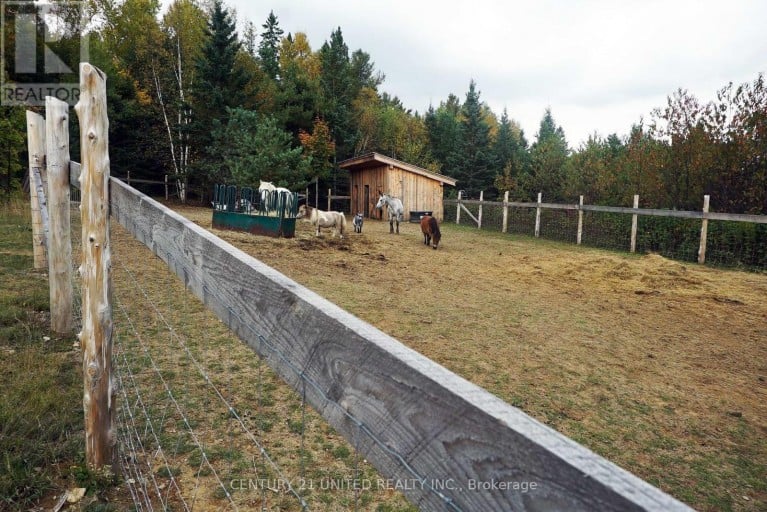 31 MCLEAN ROAD, Hastings Highlands (Monteagle Ward), Ontario, K0L2R0