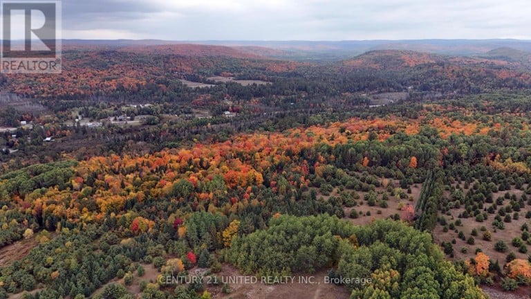 31 MCLEAN ROAD, Hastings Highlands (Monteagle Ward), Ontario, K0L2R0