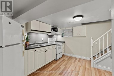 260 STINSON CRESCENT Hamilton (St. Clair) Ontario photo 30