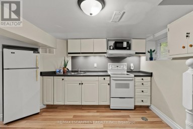 260 STINSON CRESCENT Hamilton (St. Clair) Ontario photo 31