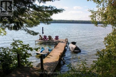 23 FIRE ROUTE 35 Trent Lakes Ontario photo 2