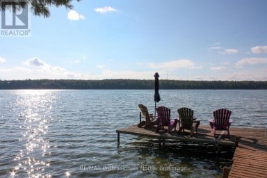 23 FIRE ROUTE 35 Trent Lakes Ontario photo 27