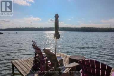 23 FIRE ROUTE 35 Trent Lakes Ontario photo 29