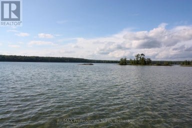 23 FIRE ROUTE 35 Trent Lakes Ontario photo 30