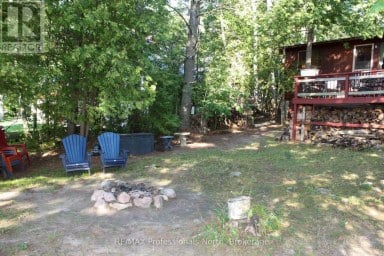 23 FIRE ROUTE 35 Trent Lakes Ontario photo 34