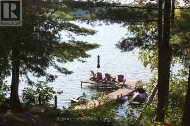 23 FIRE ROUTE 35 Trent Lakes Ontario photo 37