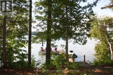 23 FIRE ROUTE 35 Trent Lakes Ontario photo 38