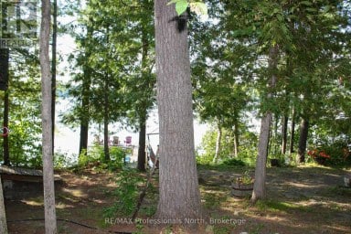 23 FIRE ROUTE 35 Trent Lakes Ontario photo 39