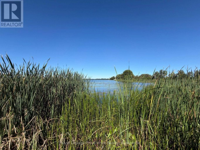 311E COUNTY RD 29 ROAD, Prince Edward County (Ameliasburg Ward), Ontario, K0K1T0