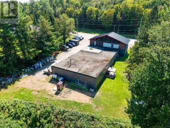295 MILL STREET Bancroft (Bancroft Ward) Ontario photo 48