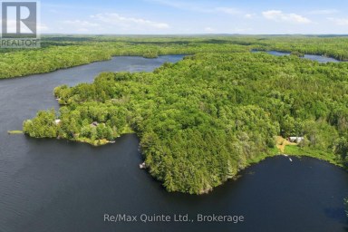 485 GLANMIRE LAKE LANE Tudor and Cashel (Tudor Ward) Ontario photo 24