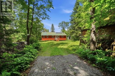 485 GLANMIRE LAKE LANE Tudor and Cashel (Tudor Ward) Ontario photo 5