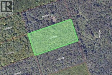 Wood Lot Green Road Elgin New Brunswick photo 2