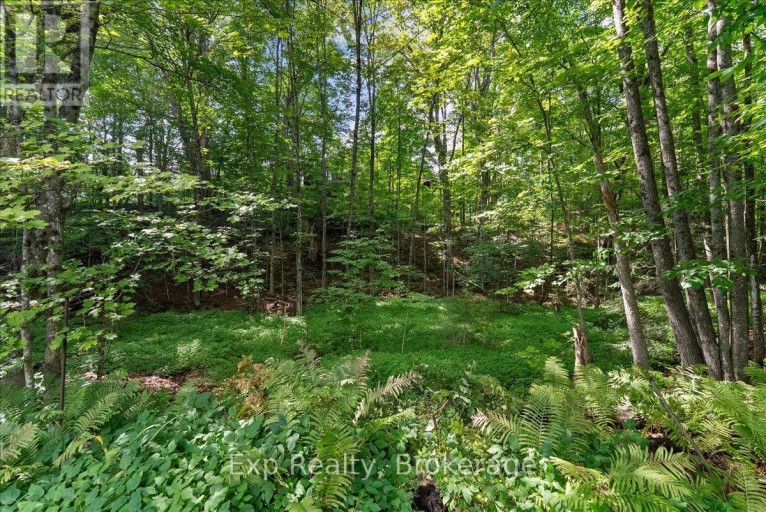 26 SHERBOURNE STREET N, Bancroft (Bancroft Ward), Ontario, K0L1C0