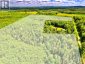 174 BUDD ROAD, Bonnechere Valley, Ontario, K0J1T0 (ID X13730514)