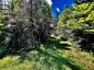 174 BUDD ROAD, Bonnechere Valley, Ontario, K0J1T0 (ID X13730514)