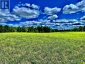 174 BUDD ROAD, Bonnechere Valley, Ontario, K0J1T0 (ID X13730514)