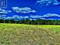 174 BUDD ROAD, Bonnechere Valley, Ontario, K0J1T0 (ID X13730514)