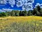 174 BUDD ROAD, Bonnechere Valley, Ontario, K0J1T0 (ID X13730514)