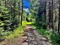 174 BUDD ROAD, Bonnechere Valley, Ontario, K0J1T0 (ID X13730514)