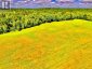 174 BUDD ROAD, Bonnechere Valley, Ontario, K0J1T0 (ID X13730514)