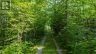 959 HARRISON TRAIL, Georgian Bay (freeman), Ontario, P0C1H0 (ID X13730458)
