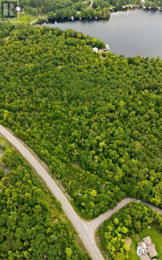 17 LOT, Muskoka Lakes (Medora), Ontario, P0B1J0