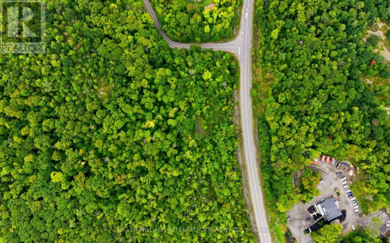17 LOT, Muskoka Lakes (Medora), Ontario, P0B1J0