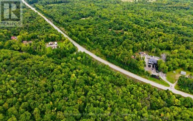 17 LOT Muskoka Lakes (Medora) Ontario photo 19