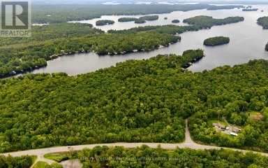 17 LOT Muskoka Lakes (Medora) Ontario photo 27
