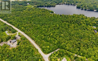 17 LOT Muskoka Lakes (Medora) Ontario photo 6