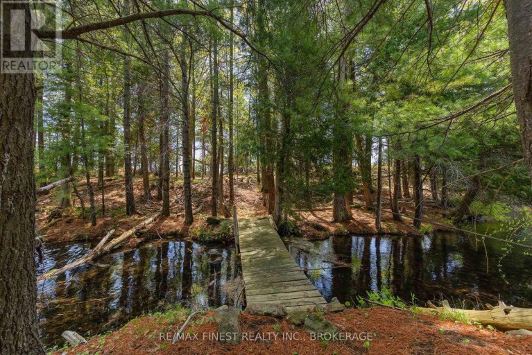 20800 HORSESHOE ISLAND, Frontenac (Frontenac South), Ontario, K0H1H0