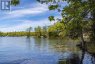 20800 HORSESHOE ISLAND, Frontenac (frontenac South), Ontario, K0H1H0 (ID X13730656)