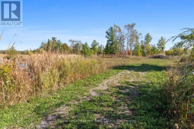 15880 62 HIGHWAY Madoc Ontario photo 30