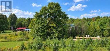 585216 SIDEROAD 10A Grey Highlands Ontario photo 37