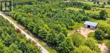 585216 SIDEROAD 10A Grey Highlands Ontario photo 40