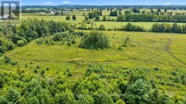 585216 SIDEROAD 10A Grey Highlands Ontario photo 41