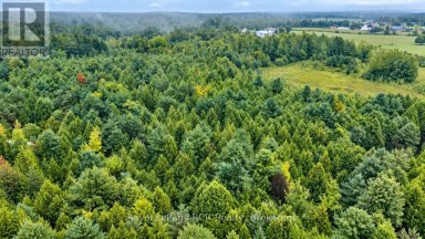 585216 SIDEROAD 10A Grey Highlands Ontario photo 45
