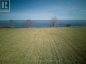 LT 17 PT 2 SOUTH SHORE ROAD, Loyalist (amherst Island), Ontario, K0H2S0 (ID X13731756)