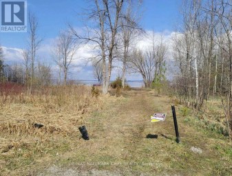 41 BASS BAY DRIVE Tay Ontario photo 16