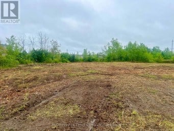 625 QUEENSWAY COURT Peterborough (Otonabee Ward 1) Ontario photo 14