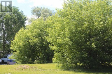 182 FREDERICK STREET Georgina (Keswick North) Ontario photo 10