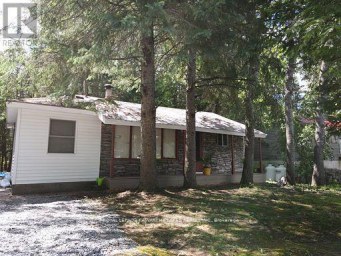 81 MCGUIRE BEACH ROAD Kawartha Lakes (Carden) Ontario photo 11