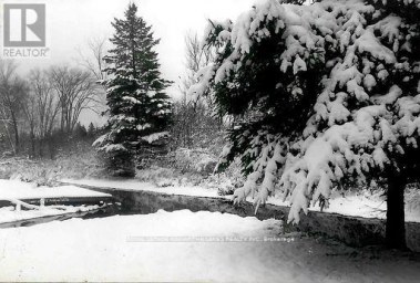 81 MCGUIRE BEACH ROAD Kawartha Lakes (Carden) Ontario photo 13
