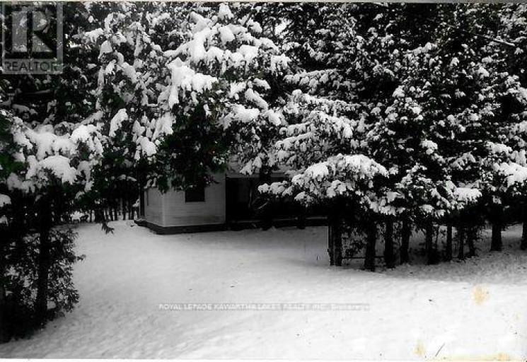 81 MCGUIRE BEACH ROAD, Kawartha Lakes (Carden), Ontario, K0M2B0