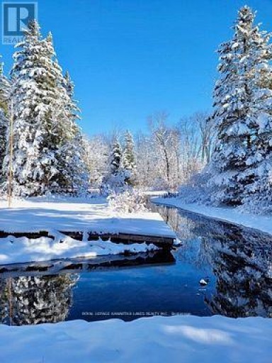 81 MCGUIRE BEACH ROAD, Kawartha Lakes (Carden), Ontario, K0M2B0